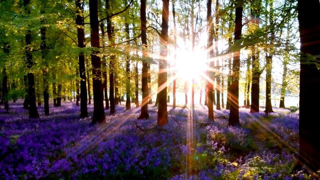 Как повернуть время вспять. Вы можете сами выбрать себе возраст смотреть онлайн