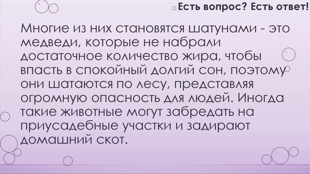 Что ест медведь? [239] смотреть онлайн