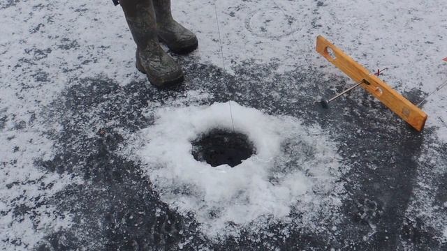 Early Ice Tip-Up Fishing! смотреть онлайн