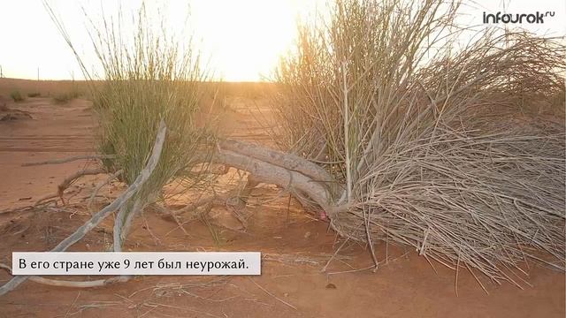 Подвиги Геракла | Русская литература 6 класс #5 | Инфоурок смотреть онлайн