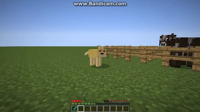 ОБЗОР МОДА ДЛЯ Minecraft 1.7.10 Morph смотреть онлайн