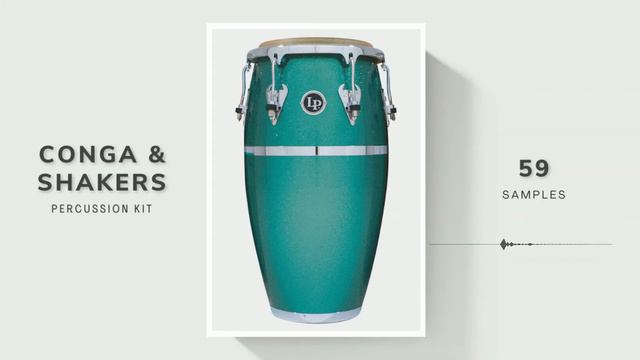 FREE 𝗖𝗢𝗡𝗚𝗔 & 𝗦𝗛𝗔𝗞𝗘𝗥𝗦 PERCUSSION KIT | SAMPLE PACK FOR PRODUCERS смотреть онлайн