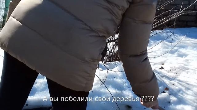 ОБРАБОТКА САДА И ПОБЕЛКА ДЕРЕВЬЕВ В АПРЕЛЕ смотреть онлайн