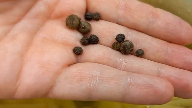 Салаты с Миндалем