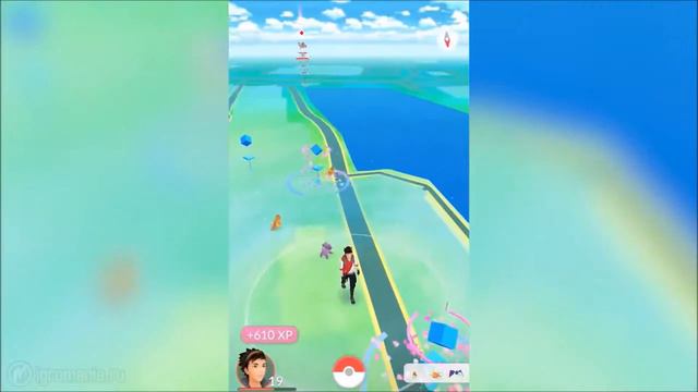 Как начать играть без ошибок в Pokémon Go. смотреть онлайн