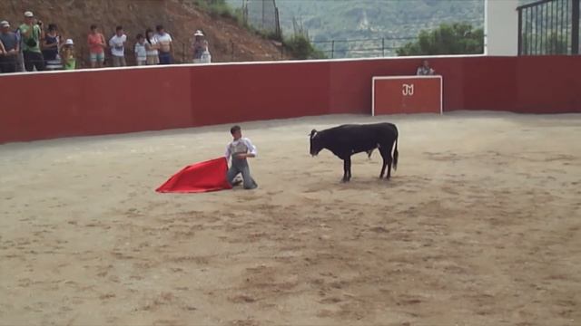 Коррида в Каталонии. смотреть онлайн