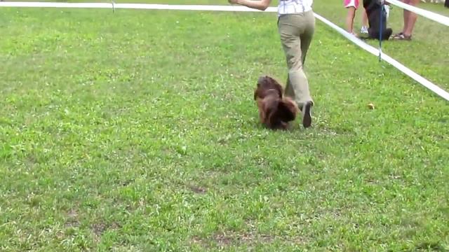 Соня ЛС, ЧФ, ЛПП, BIG 2-МЕЛОДИ ОФ СОУЛ ВЕРИ СВИТ.MOV