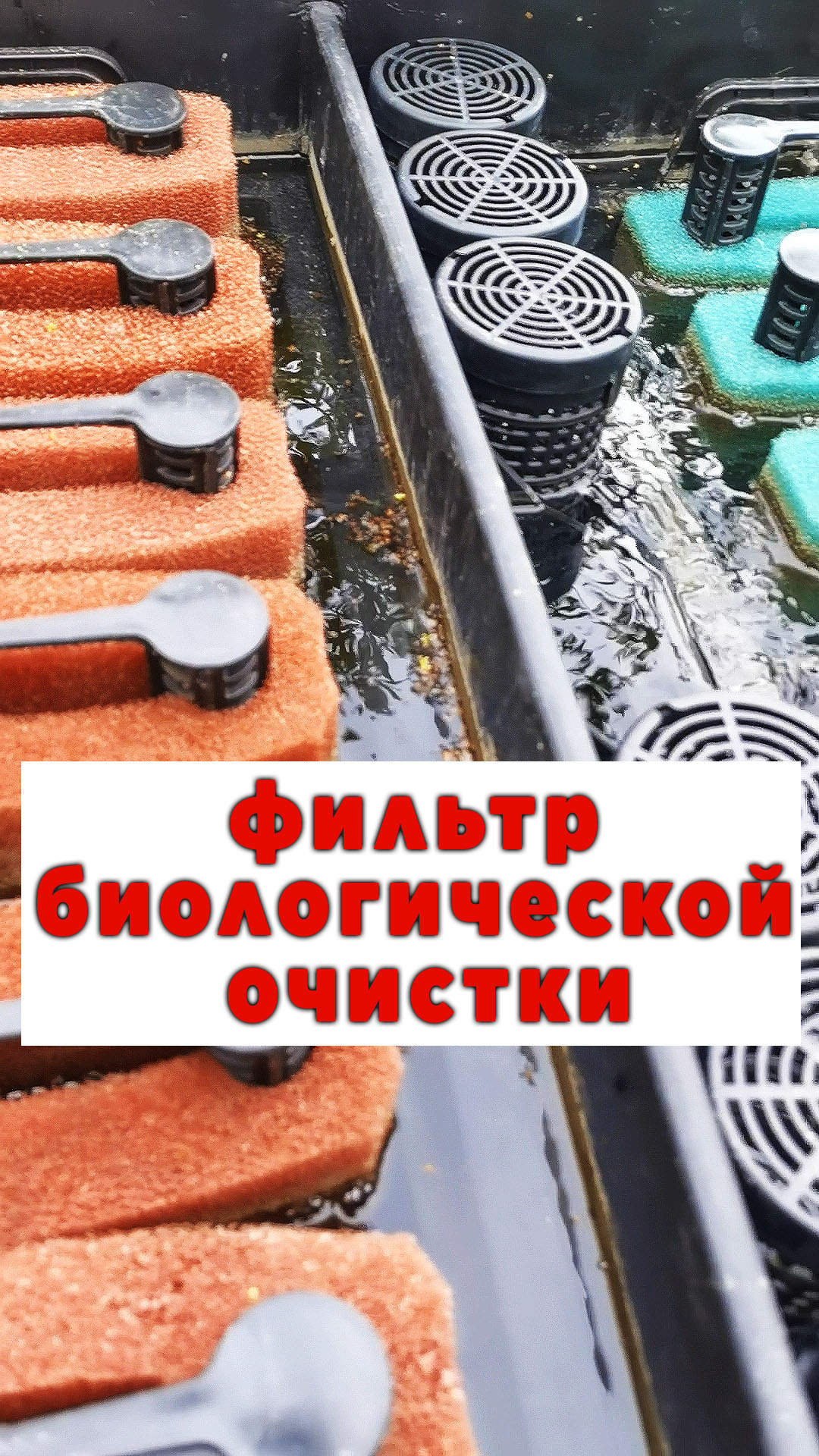 фильтр биологической очистки водоемов в саду смотреть онлайн