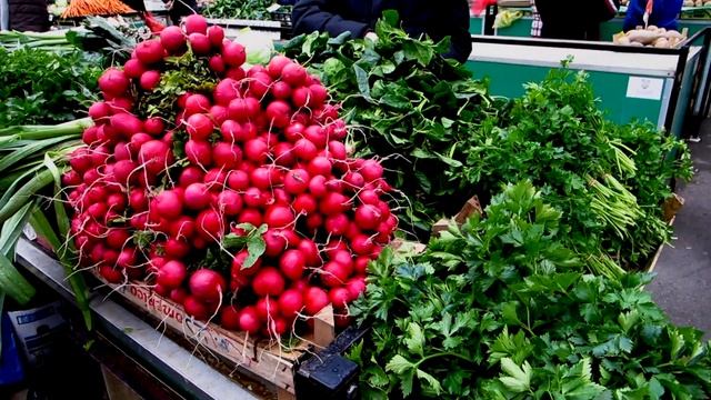 Another Taste of Serbia ~ Best Affordable Organic Produce Farmers Market смотреть онлайн