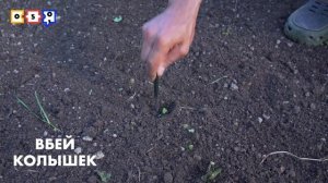 Делаем клумбу своими руками | Клумба из стеклянных бутылок | Клумба из камней