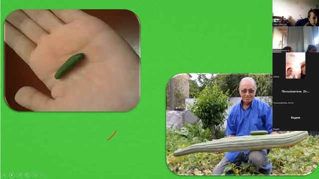 Овощи на иврите смотреть онлайн