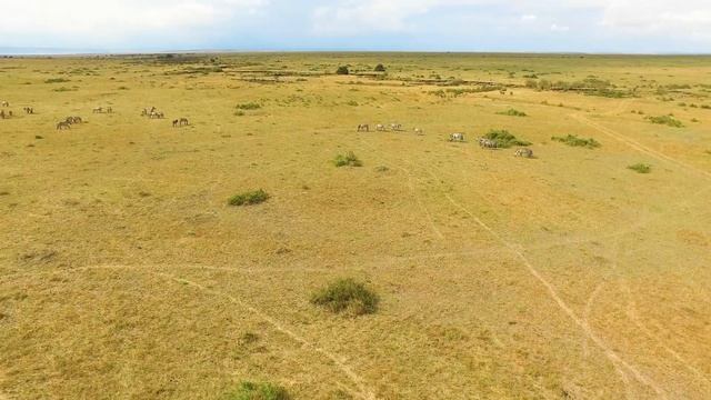 4K African Wildlife: Tsavo East National Park - Scenic Wildlife Film With Real Sounds