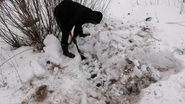 Сколько можно заработать на изоляторах от ЛЭП?Коп металлолома смотреть онлайн