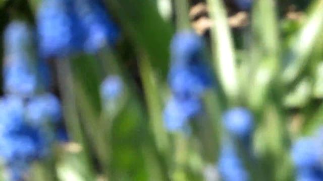 Дача. Май. Выходные. Труд. Веснааа) смотреть онлайн