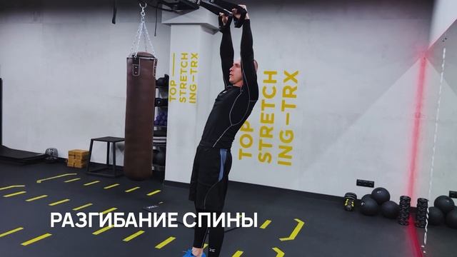 15 лучших упражнений на спину на петлях TRX смотреть онлайн
