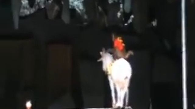 невероятный трюк с козлом смотреть онлайн