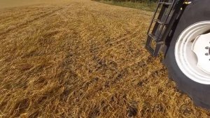 Уборка зерновых на комбайне Акрос 595плюс.