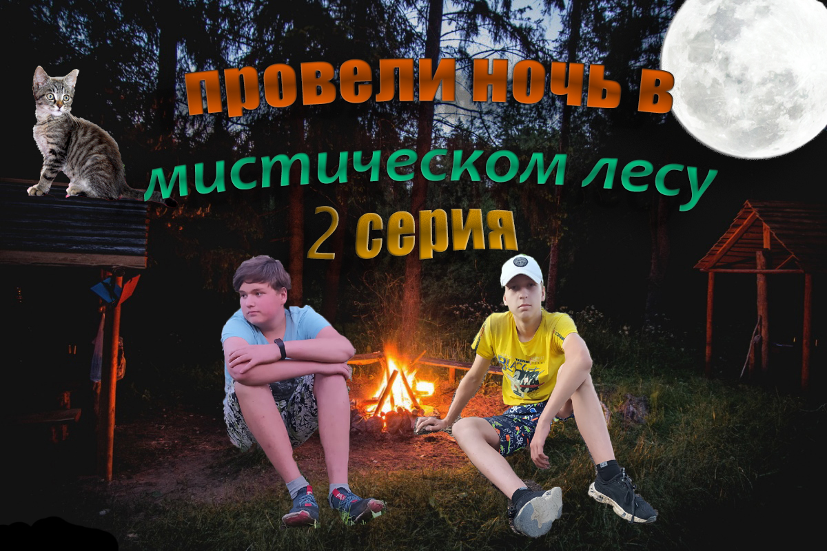 провели ночь в лесу с мистикой,нам пришлось там провести ночь!!!школьники провели ночь в лесу сами2ч