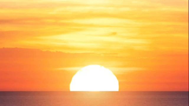 Roblox Creatures of Sonaria Game Music / 1 HOUR смотреть онлайн