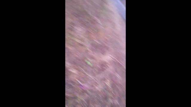 Последствия после Нового Года. смотреть онлайн