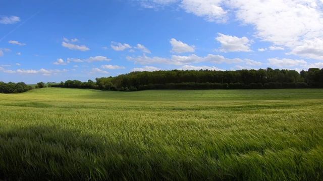 Dark Ambient.  Ambiente Oscuro. Мрачный эмбиент.