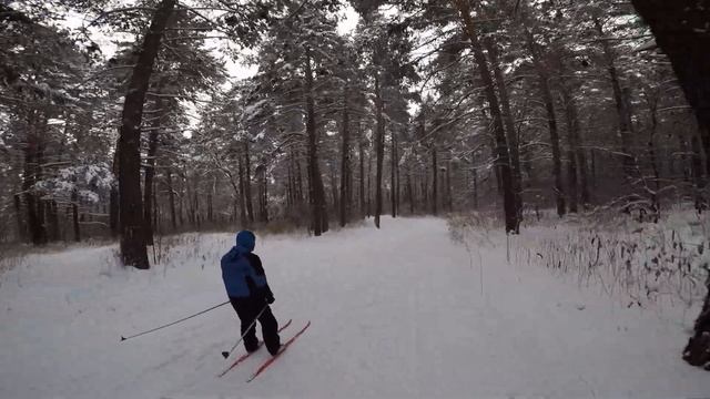Катание на лыжах коньковым ходом Кемерово смотреть онлайн
