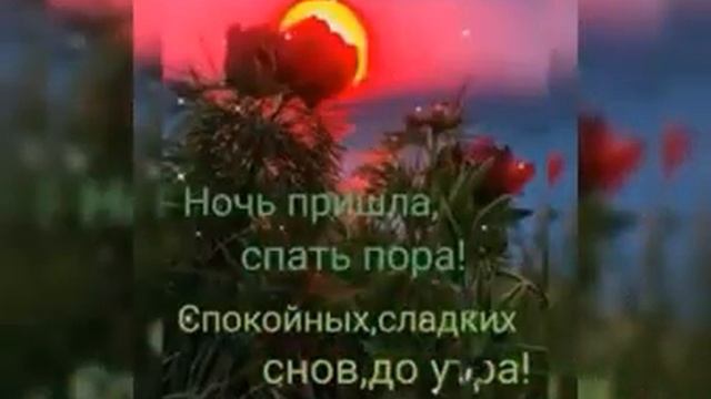 200010531-SP Ночь пришла, спать пора, спокойной ночи до утра (0.30) смотреть онлайн