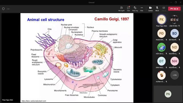 9. LƯỚI NỘI SINH CHẤT & BỘ MÁY GOLGI - SHTB YRD21 30/6 смотреть онлайн