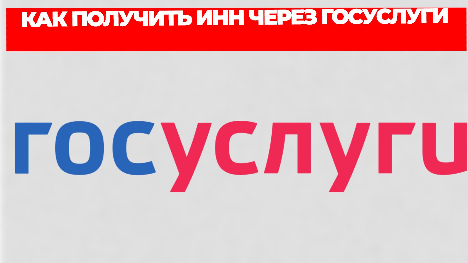 Всезнающий Енот