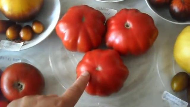 Сорта томатов на 20.07.2020 год (часть 2) смотреть онлайн