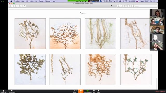 Презентация проектов 