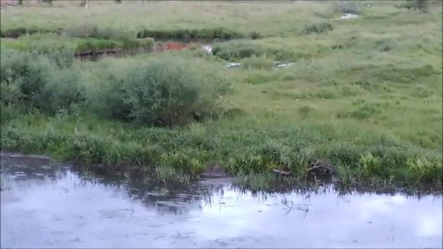 Вечер в деревне. смотреть онлайн