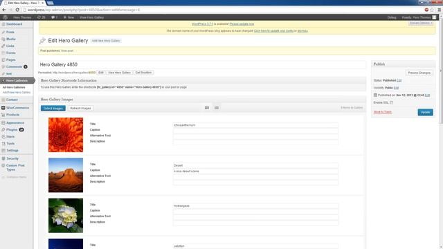 Hero Gallery Manager for WordPress смотреть онлайн