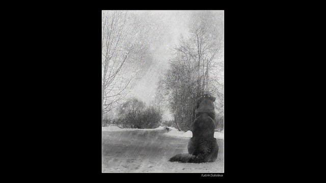 часть нашей жизни.wmv смотреть онлайн