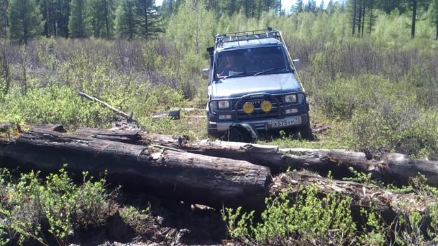 Лебедимся на гати в верховьях Ингоды смотреть онлайн