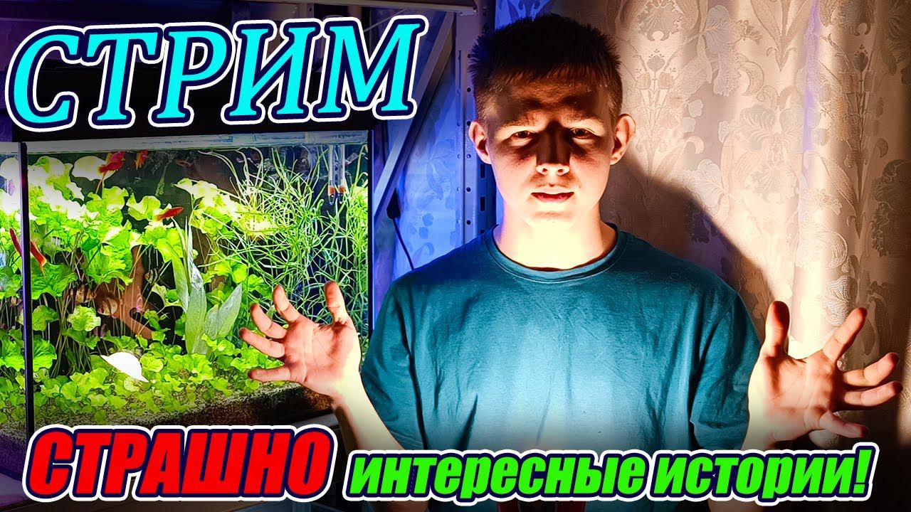 День рождения канала Юный Аквариумист! смотреть онлайн