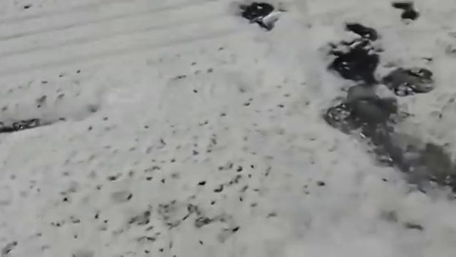 ЛЁД ЕСТЬ! СУДАК КЛЮЁТ ПО-БЕШЕНОМУ смотреть онлайн