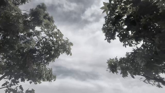 Новость 448 смотреть онлайн