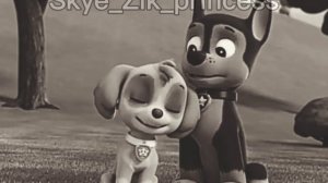 ? Гонщик и Скай?(я не забуду...)~Для канала Zsrvlo~?Chase x Skye?