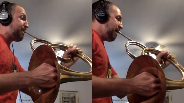 Mozart's 12 Duets, K. 487 3. Andante on natural horn смотреть онлайн