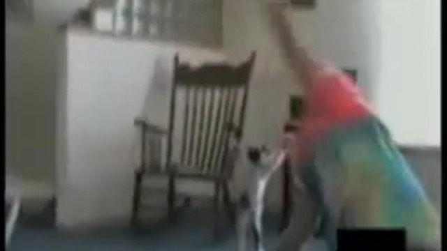 Котик отхватил по полной смотреть онлайн