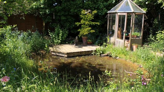 Natural Wildlife Ponds - Designs And Creations - 4K
