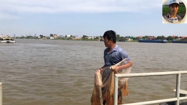 You can catch a lot of fish by the river on the dock. смотреть онлайн