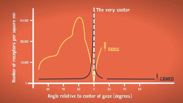 Eye Vs. Camera - Michael Mauser