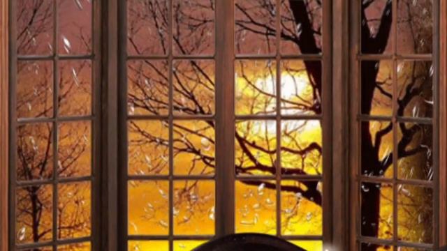 Метелица, слова Л. Шолохова, музыка, автор ролика и вокал Н. Ильин смотреть онлайн