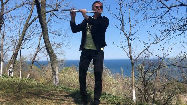 I saw you dancing - Yaki da Cover Fluteman V.I.T performance Hit-80s смотреть онлайн