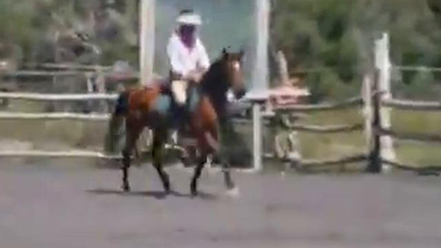 Posh Under Saddle Aug13 смотреть онлайн
