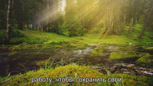 Переросший свое прошлое: Кевин, выросший в трущобах, стал миллионером смотреть онлайн