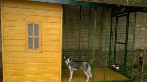 Вольер для собаки своими руками: чертежи и размеры