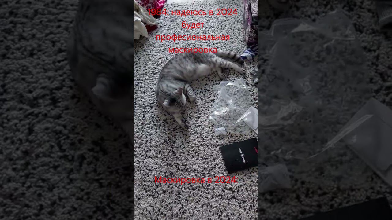 Маскировка #shorts #cats #carpet #funny #юмор #кобяковдед #memes смотреть онлайн